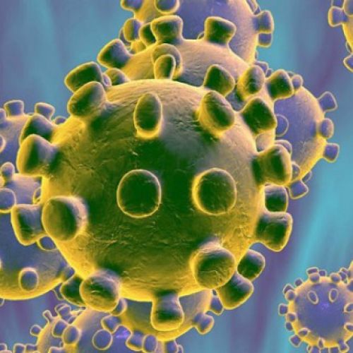 چیزهایی که باید درباره ویروس کرونا بدانید